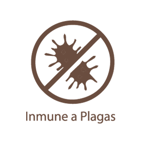 Inmune a plagas